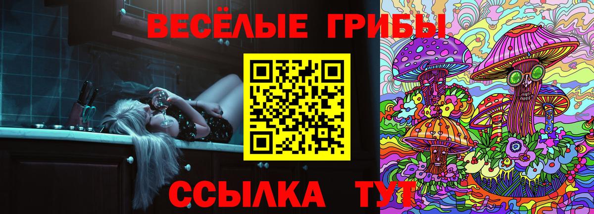 Усолье-Сибирское  Псилоцибиновые грибы Magic Shrooms  Вход с VPN  Галлюциногенные грибы Psilocybe 