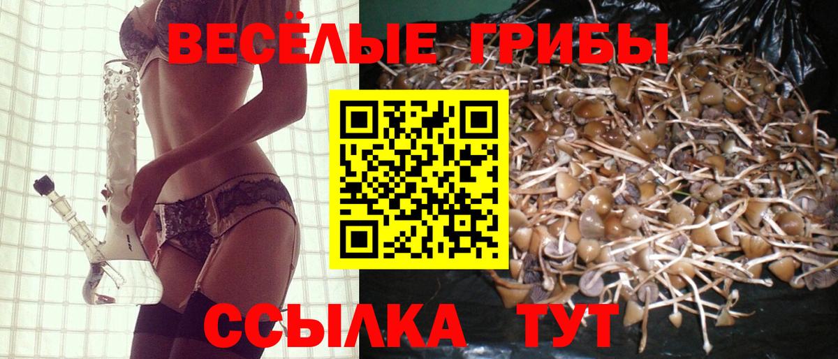 Галлюциногенные грибы GOLDEN TEACHER Усолье-Сибирское